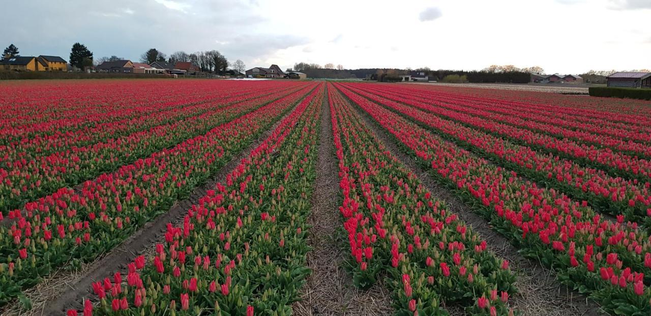Hotel De Wagen Egmond-Binnen Exteriér fotografie